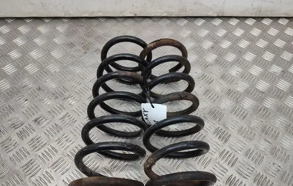 Rear coil spring