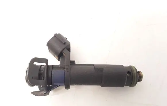 Citroen C5 Fuel injector 4250B00877