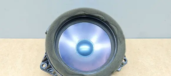 Mercedes-Benz CLK A209 C209 Front door speaker A2038205102