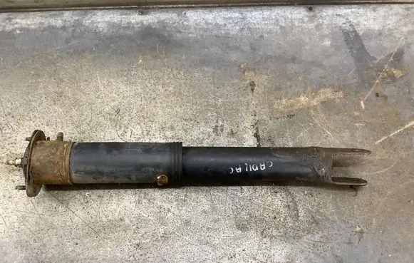 Cadillac SRX Rear shock absorber/damper 4216