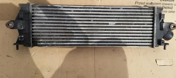 Opel Vivaro Intercooler radiator 8200411160