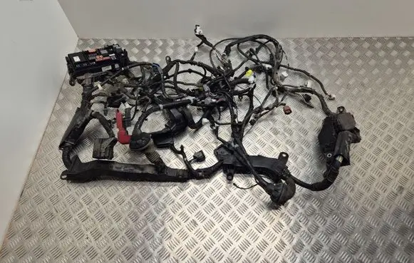 Engine installation wiring loom
