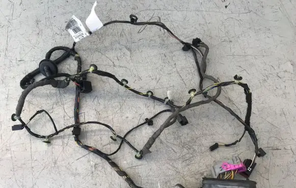 Front door wiring loom