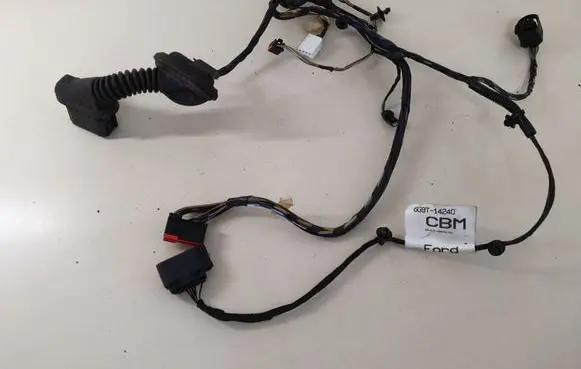 Rear door wiring loom