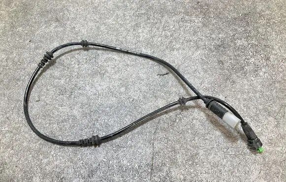 Other wiring loom