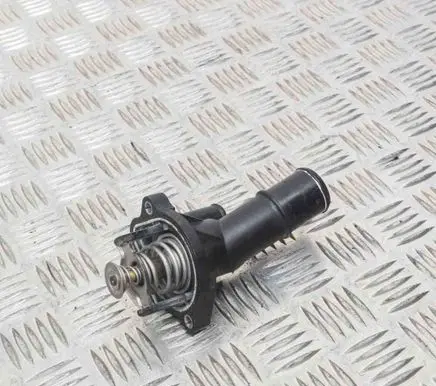 Ford Fiesta Thermostat 