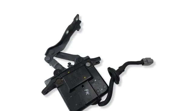 Hyundai Santa Fe Engine bonnet/hood hinges 791502W000