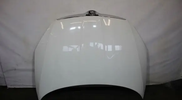 Skoda Roomster (5J) Engine bonnet/hood