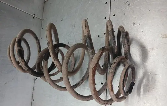 Rear coil spring