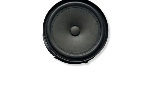 Volkswagen PASSAT B8 Front door speaker 