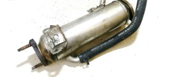 Opel Antara EGR valve cooler 96817829 c214985