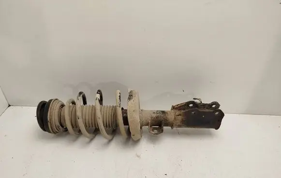 Opel Insignia A Front shock absorber with coil spring 13347485 367327926