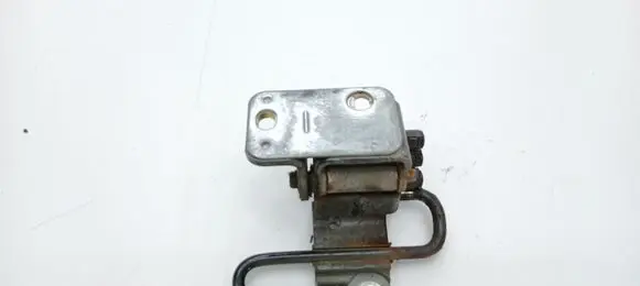 Volkswagen Touran II Front door lower hinge 1T0831411