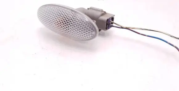 Front fender indicator light