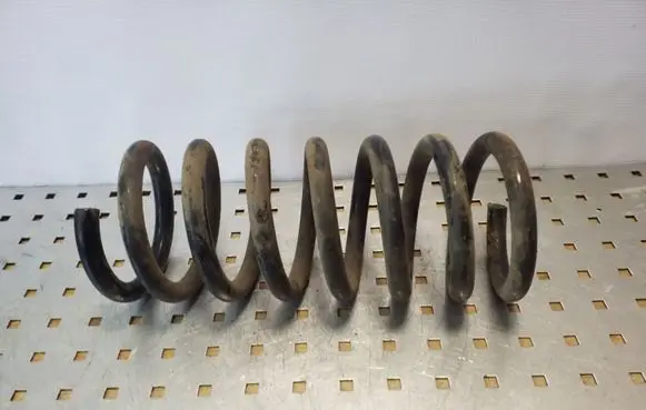 Opel Antara Rear coil spring