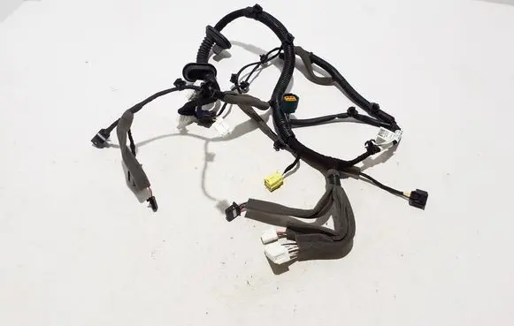 Other wiring loom