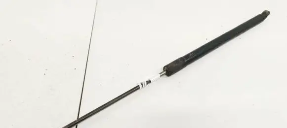 Ford S-MAX Tailgate/trunk strut/damper