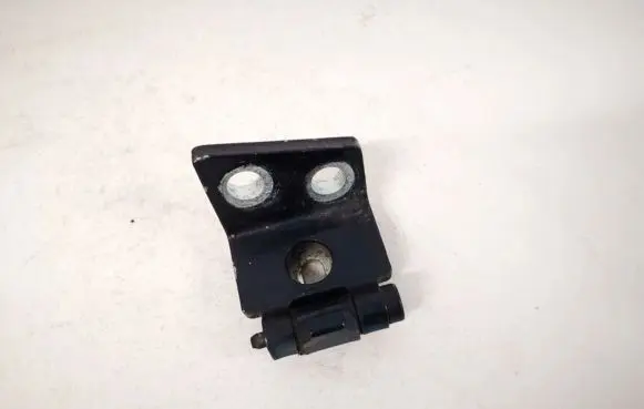 Citroen Xsara Rear door lower hinge