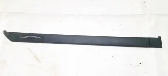 Rear door trim (molding)