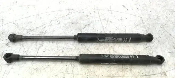 Tailgate/trunk strut/damper