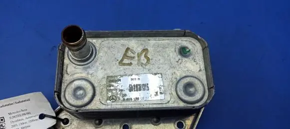 Mercedes-Benz S W220 Engine oil radiator A6131880201