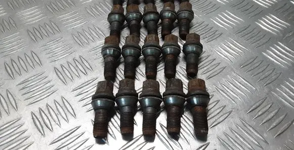 Renault Latitude (L70) Nuts/bolts 