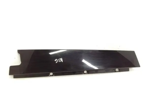 Fiat 500L Rear door glass trim molding 735522838