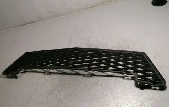 Mercedes-Benz A W169 Front bumper lower grill A1698850224