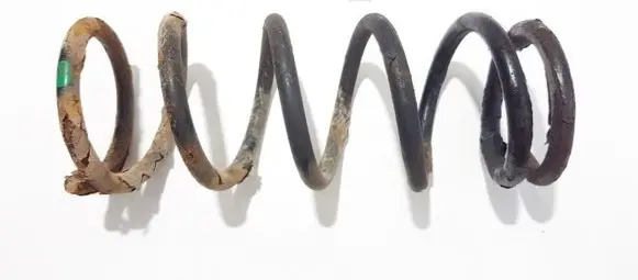 Nissan Almera Tino Rear coil spring