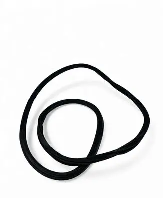 Audi Q3 F3 Front door rubber seal 