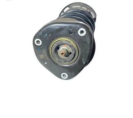Ford Kuga III Front shock absorber with coil spring LX6118K001NEF LX615310NMB LX613K155ANC