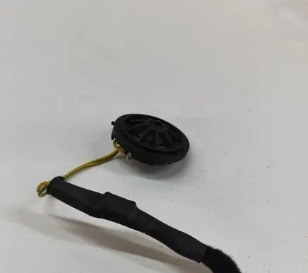 Front door speaker