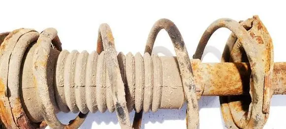 Front coil spring
