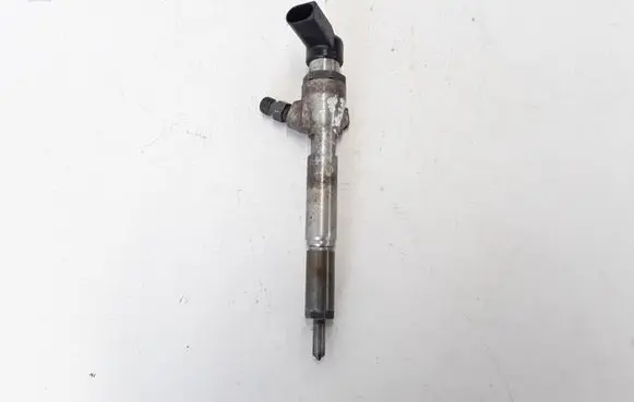 Renault Megane III Fuel injector 8200294788