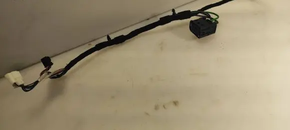 Mercedes-Benz CLK A209 C209 Front door wiring loom A2095407005
