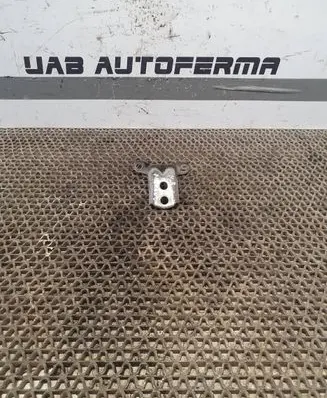 Nissan Murano Z51 Front door lower hinge 