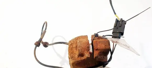 Other wiring loom