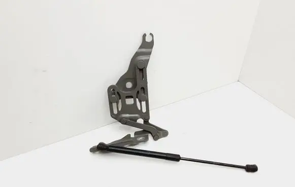 BMW X5 E70 Engine bonnet/hood hinges 7148347