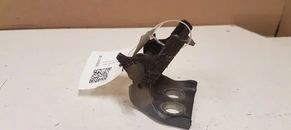 Citroen C4 I Rear door lower hinge ES70
