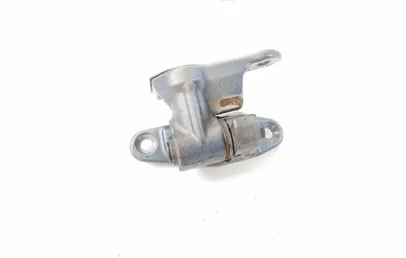Mercedes-Benz SLK R171 Front door lower hinge A1717200337