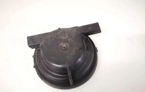 Headlight/headlamp dust cover