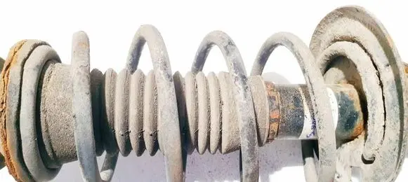 Front coil spring