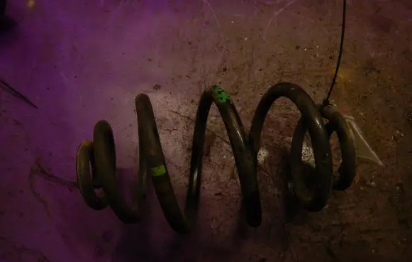 Rear coil spring