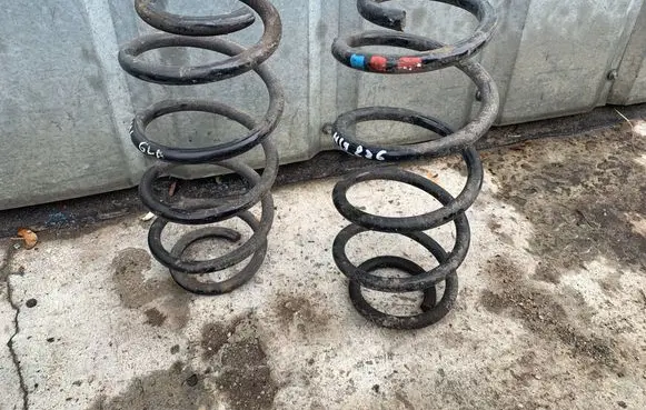 Rear coil spring