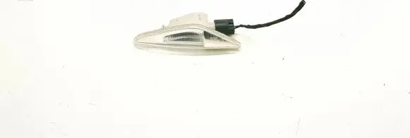 BMW X5 E70 Front fender indicator light 7171007