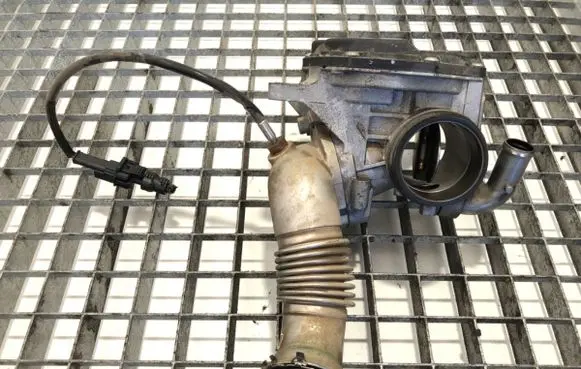 EGR valve