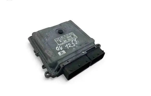 Engine control unit/module ECU