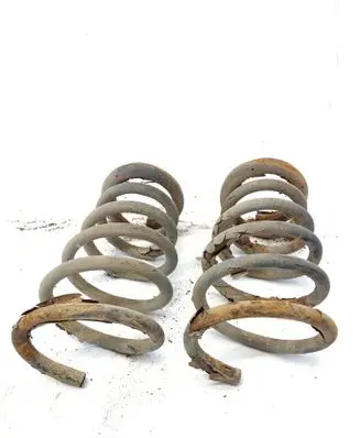 Rear coil spring
