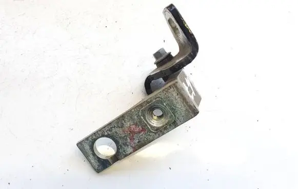 Ford Focus Rear door lower hinge