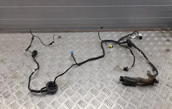 Audi Q5 SQ5 Front door wiring loom 80A971029G